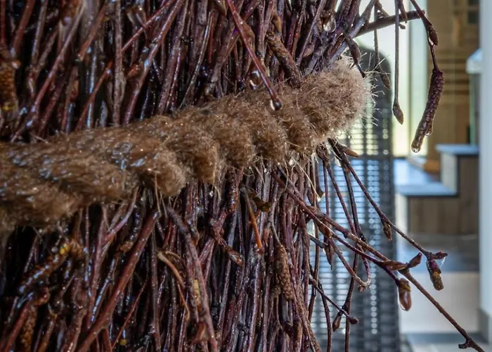 Uroczy Belle View Jacuzzi Sauny Schreiberhau